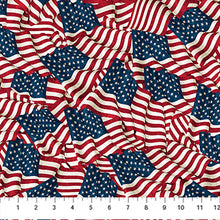Load image into Gallery viewer, Stars & Stripes 13 - Stonehenge by Northcott, Little Turtle Cottage