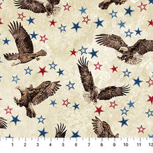 Load image into Gallery viewer, Stars & Stripes 14 - Stonehenge, Little Turtle Cottage