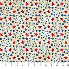 Load image into Gallery viewer, Stars & Stripes 14 - Stonehenge, Little Turtle Cottage