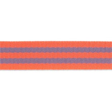 Load image into Gallery viewer, Tula Pink Lavender & Pink Nylon Webbing Strap, Little Turtle Cottage