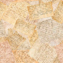 Load image into Gallery viewer, Sizzle and Spice from QT Fabrics, Recipes 30001 E, Little Turtle Cottage