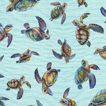 Load image into Gallery viewer, Endless Blues by QT Fabrics, Little Turtle Cottage