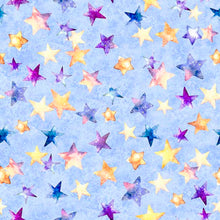 Load image into Gallery viewer, Oh The Places by QT Fabrics, Little Turtle Cottage