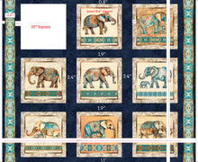 Load image into Gallery viewer, Kindred Spirits from QT Fabrics, Little Turtle Cottage