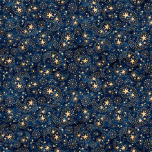Load image into Gallery viewer, 1776 by QT Fabrics, Little Turtle Cottage