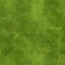 Load image into Gallery viewer, Prism by Jason Yenter for In The Beginning Fabrics | Little Turtle Cottage