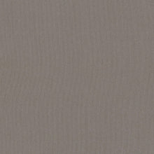 Load image into Gallery viewer, BioSmart™ Antimicrobial Cloth, Little Turtle Cottage