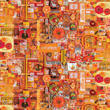 Load image into Gallery viewer, Color Collage 2 by Northcott, Little Turtle Cottage