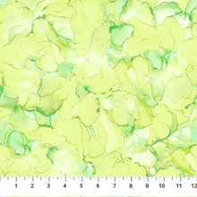 Load image into Gallery viewer, Allure from Northcott, Digital, Little Turtle Cottage