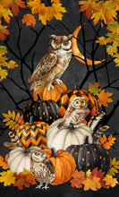Load image into Gallery viewer, Night Owl by Northcott, Apron Oven Mitt Panel C28843-12, by the panel