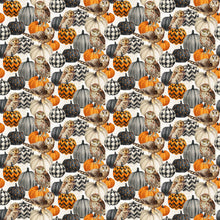 Load image into Gallery viewer, Night Owl by Northcott, Little Turtle Cottage