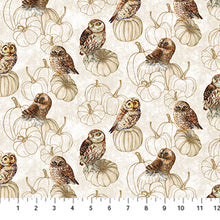 Load image into Gallery viewer, Night Owl by Northcott, Little Turtle Cottage