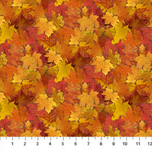 Load image into Gallery viewer, Night Owl by Northcott, Little Turtle Cottage