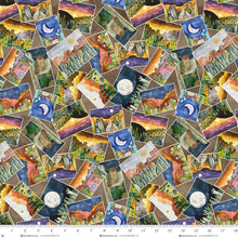 Load image into Gallery viewer, Magical Desert from Henry Glass, Little Turtle Cottage