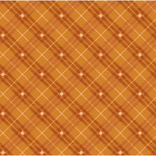 Load image into Gallery viewer, Bias Plaid Basics from Henry Glass | Little Turtle Cottage