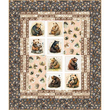 Load image into Gallery viewer, Bold Blocks Quilt Pattern, Little Turtle Cottage