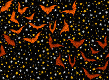 Load image into Gallery viewer, Costumes & Cobwebs by Club Hauer-Freespirit, Little Turtle Cottage