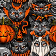 Load image into Gallery viewer, Costumes & Cobwebs by Club Hauer-Freespirit, Little Turtle Cottage