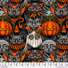 Load image into Gallery viewer, Costumes & Cobwebs by Club Hauer-Freespirit, Little Turtle Cottage