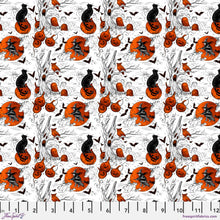 Load image into Gallery viewer, Costumes & Cobwebs by Club Hauer-Freespirit, Little Turtle Cottage