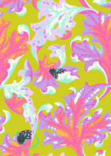 Load image into Gallery viewer, Tabby Road Deja Vu by Tula Pink, Eek PWTP093, Little Turtle Cottage