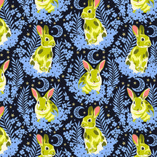 Load image into Gallery viewer, Besties by Tula Pink, Little Turtle Cottage