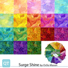 Load image into Gallery viewer, QT Fabrics Surge Storm, Fat Quarter Bundle 18pcs FATQU SUST, Little Turtle Cottage