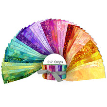 Load image into Gallery viewer, QT Fabrics Surge Shine 2-1/2" x 42" 42pcs Jelly Roll Strips SUSH, Little Turtle Cottage