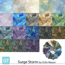 Load image into Gallery viewer, QT Fabrics Surge Storm, Fat Quarter Bundle 18pcs FATQU SUST, Little Turtle Cottage