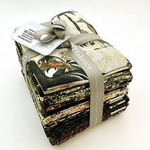 Load image into Gallery viewer, Safari Dreams by QT Fabrics, Fat Quarter Bundle 14pcs, Little Turtle Cottage