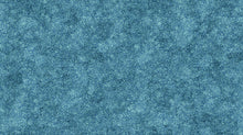 Load image into Gallery viewer, Sea Breeze from Northcott, Little Turtle Cottage