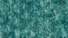 Load image into Gallery viewer, Sea Breeze from Northcott, Little Turtle Cottage