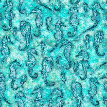 Load image into Gallery viewer, Oceana from QT Fabrics, Little Turtle Cottage