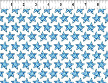 Load image into Gallery viewer, Wonders of the Ocean, Little Turtle Cottage