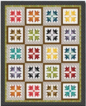 Load image into Gallery viewer, Bias Plaid Basics from Henry Glass, Rose 9611-85 by the yard