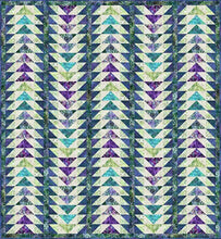 Load image into Gallery viewer, Floragraphix V Quilts by Jason Yenter, Book of Patterns, Little Turtle Cottage