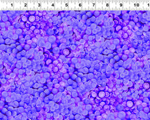 Load image into Gallery viewer, Vineyard by Cedar West for Clothworks , Little Turtle Cottage