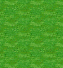 Load image into Gallery viewer, Vineyard by Cedar West for Clothworks , Little Turtle Cottage