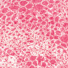 Load image into Gallery viewer, Love to Wear Rayon, Batiks by Northcott Animal Skin-Pretty in Pink 82124-22 - Little Turtle Cottage