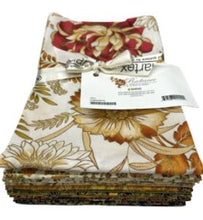 Load image into Gallery viewer, Benartex / Kanvas Radiance Fat Quarter Bundle, Little Turtle Cottage