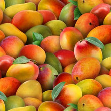 Load image into Gallery viewer, Elizabeth's Studio Food Festival Multi Mango 482E-MLT - Little Turtle Cottage