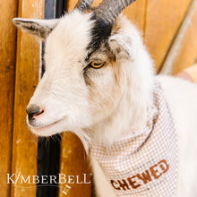 Load image into Gallery viewer, Kimberbell Fill In The Blank Pet Kerchief + free embroidery designs August Limited Edition “You Had Me at” set of 2