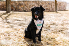 Load image into Gallery viewer, Fill In The Blank Pet Kerchief August You had me at - Little Turtle Cottage
