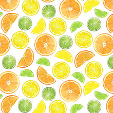 Load image into Gallery viewer, Blank Quilting Fruit For Thought Fruit Slices Digital 1880-01 - Little Turtle Cottage