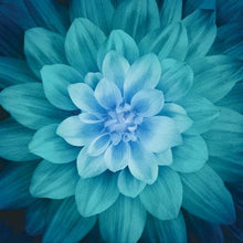 Load image into Gallery viewer, Hoffman Fabrics Dream Big Teal Large Flower Digital P4389H-21, Panel | Little Turtle Cottage