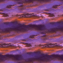 Load image into Gallery viewer, Blank Quilting Natural Beauties-Sky Purple 1797-55 - Little Turtle Cottage