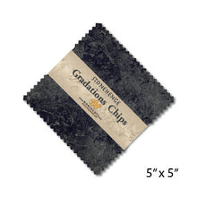 Load image into Gallery viewer, Northcott Stonehenge Gradations Graphite 5&quot; Charm Squares - Little Turtle Cottage

