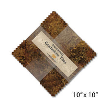 Load image into Gallery viewer, Northcott Stonehenge Gradations Iron Ore 10" Squares Layer Cake - Little Turtle Cottage