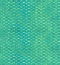 Load image into Gallery viewer, Northcott Stonehenge Sun Valley 2 - Navaho Mini - Little Turtle Cottage