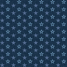 Load image into Gallery viewer, American Muscle by Studio E, Mini Stars Navy 5342-77 - Little Turtle Cottage
